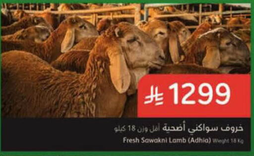 available at هايبر بنده in مملكة العربية السعودية, السعودية, سعودية - الرس