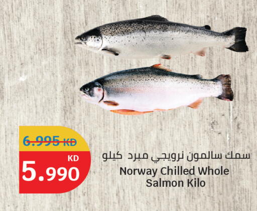available at سيتي هايبرماركت in الكويت - مدينة الكويت
