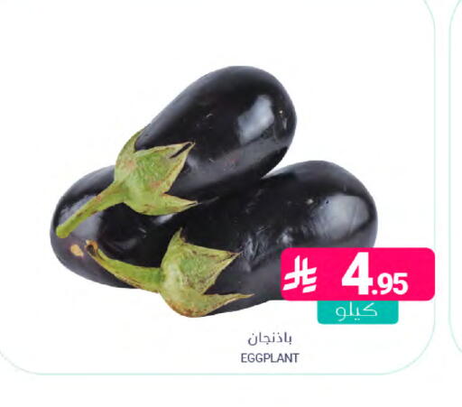 Eggplant available at اسواق المنتزه in مملكة العربية السعودية, السعودية, سعودية - سيهات