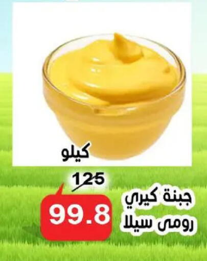 available at Aldoneia Bkheir ismailia  in Egypt - Cairo