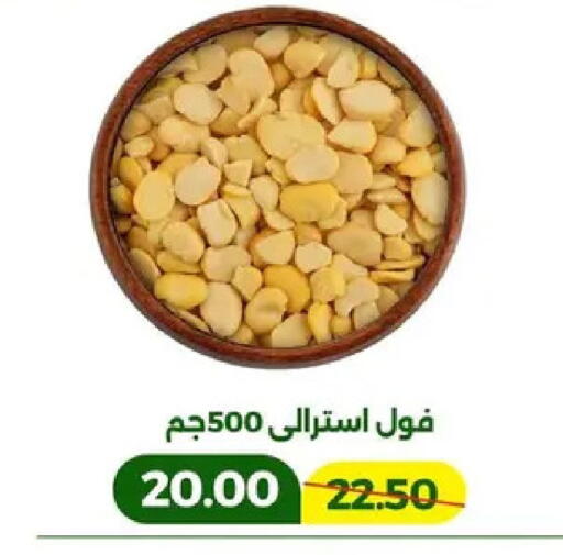 available at جرين تري هايبرماركت - سوهاج in Egypt - القاهرة