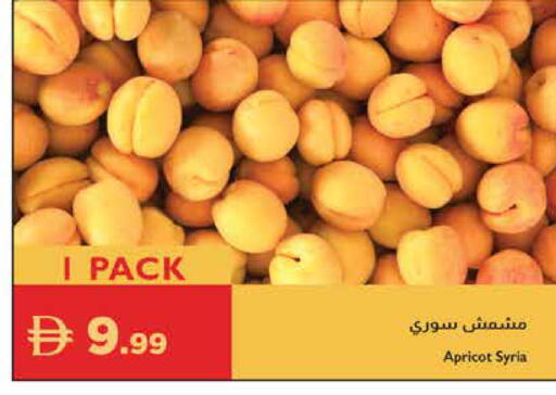 Apricot from Syria available at إسطنبول سوبرماركت in الإمارات العربية المتحدة , الامارات - رَأْس ٱلْخَيْمَة