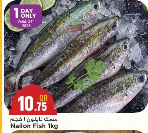 available at Marza Hypermarket in Qatar - Al Rayyan