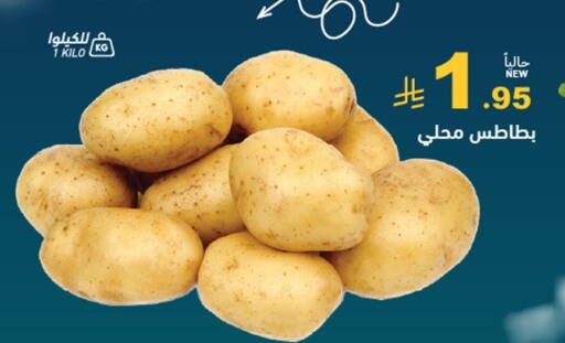 available at أسواق رامز in مملكة العربية السعودية, السعودية, سعودية - المنطقة الشرقية