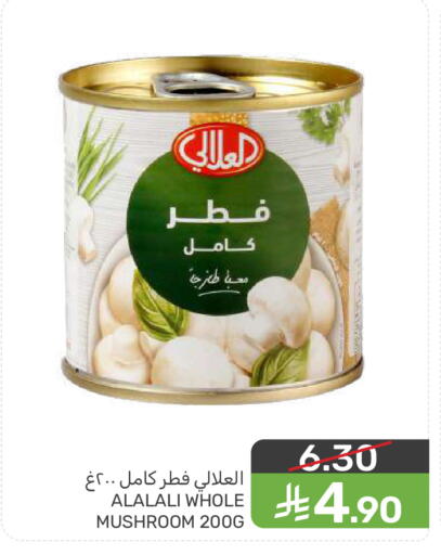 Mushroom available at  مـزايــا in مملكة العربية السعودية, السعودية, سعودية - سيهات
