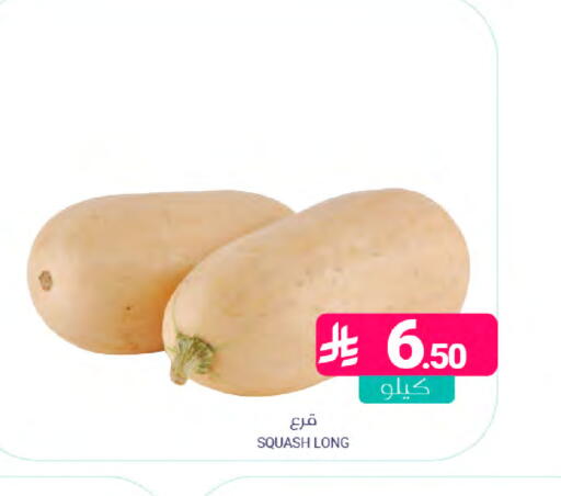 Squash available at اسواق المنتزه in مملكة العربية السعودية, السعودية, سعودية - سيهات