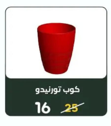 available at Wekalet Elmansoura - Dakahlia  in Egypt - Cairo