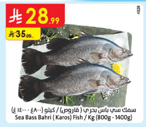 available at الدانوب in مملكة العربية السعودية, السعودية, سعودية - المدينة المنورة