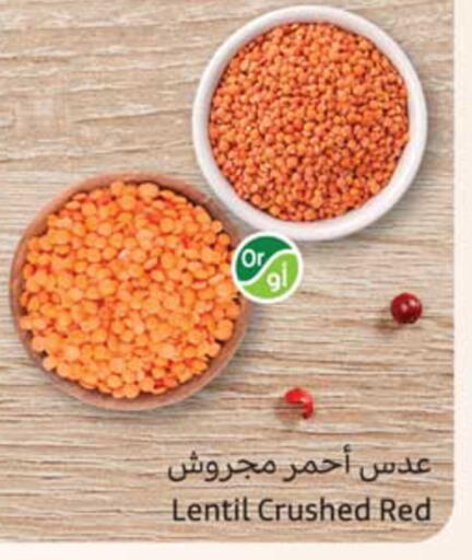 available at أسواق عبد الله العثيم in مملكة العربية السعودية, السعودية, سعودية - حفر الباطن