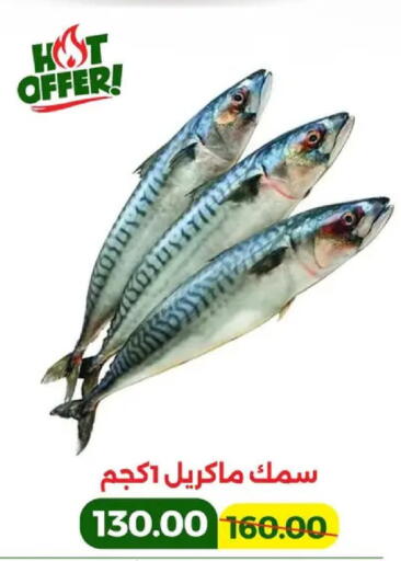 available at جرين تري هايبرماركت - سوهاج in Egypt - القاهرة