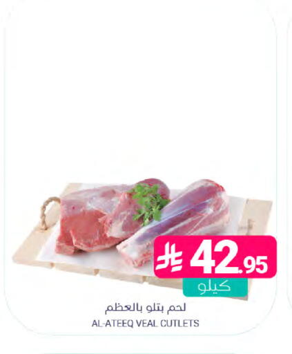 available at اسواق المنتزه in مملكة العربية السعودية, السعودية, سعودية - سيهات