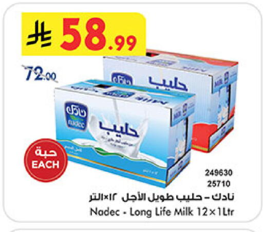 available at بن داود in مملكة العربية السعودية, السعودية, سعودية - المدينة المنورة