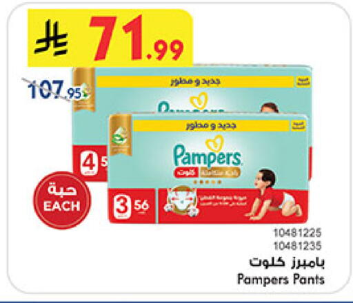 available at بن داود in مملكة العربية السعودية, السعودية, سعودية - المدينة المنورة