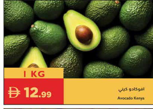 Avocado from Kenya available at إسطنبول سوبرماركت in الإمارات العربية المتحدة , الامارات - رَأْس ٱلْخَيْمَة