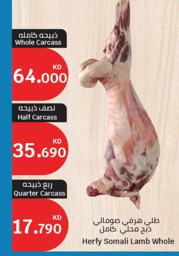 available at سيتي هايبرماركت in الكويت - محافظة الأحمدي
