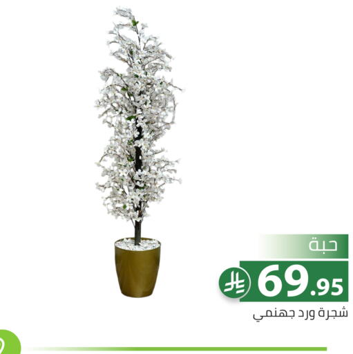 available at تخفيضات العائلة in مملكة العربية السعودية, السعودية, سعودية - الرياض