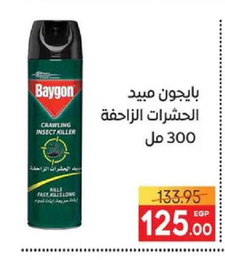 available at Safeer market in Egypt - Cairo