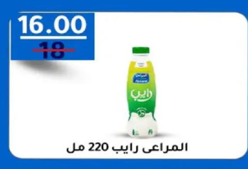 available at وكالة المنصورة - الدقهلية‎ in Egypt - القاهرة