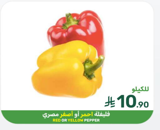 Pepper available at  مـزايــا in مملكة العربية السعودية, السعودية, سعودية - سيهات