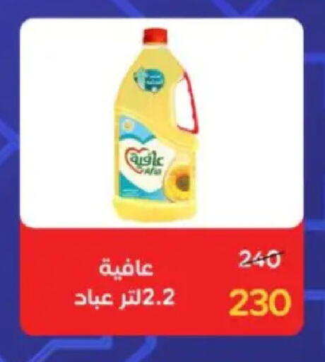 available at Wekalet Elmansoura - Dakahlia  in Egypt - Cairo