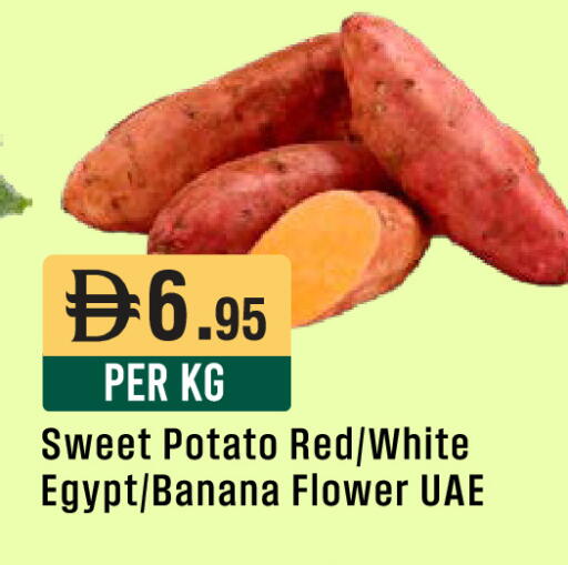 Banana Sweet Potato from Egypt available at West Zone Supermarket in UAE - Abu Dhabi