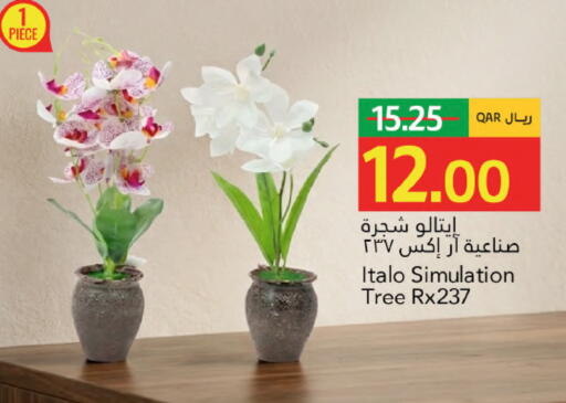 available at Gulf Food Center in Qatar - Doha