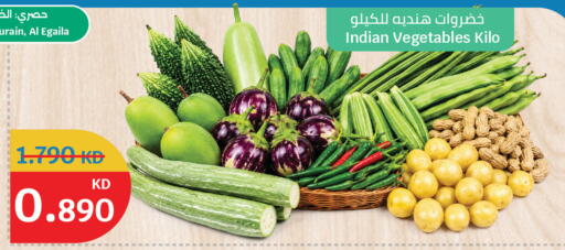 from India available at City Hypermarket in Kuwait - Ahmadi Governorate