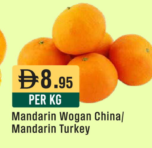 Mandarin from China Turkey available at ويست زون سوبرماركت in الإمارات العربية المتحدة , الامارات - أبو ظبي