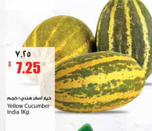 Cucumber from India available at ريتيل مارت in قطر - أم صلال