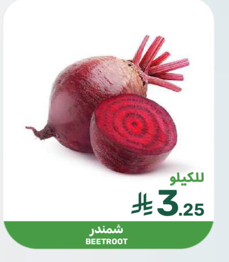 Beetroot available at  مـزايــا in مملكة العربية السعودية, السعودية, سعودية - سيهات