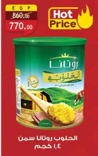 available at Al Rayah Market   in Egypt - Cairo
