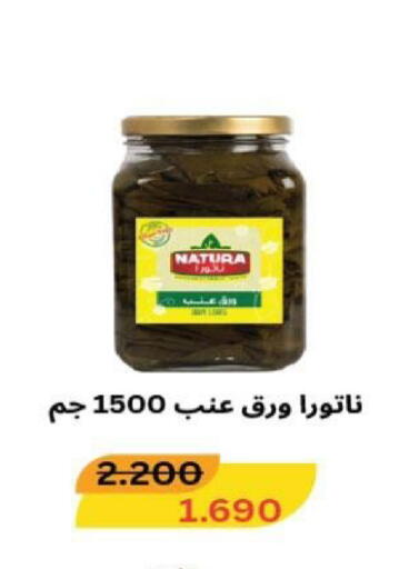 available at جمعية شمال غرب الصليبيخات in الكويت - مدينة الكويت