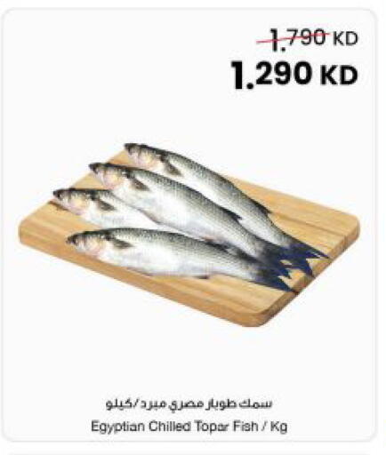 available at مركز سلطان in الكويت - مدينة الكويت