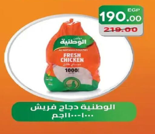 available at Safeer market in Egypt - Cairo