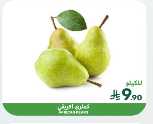 available at  مـزايــا in مملكة العربية السعودية, السعودية, سعودية - سيهات