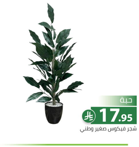 available at تخفيضات العائلة in مملكة العربية السعودية, السعودية, سعودية - الرياض