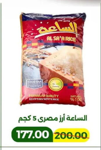 available at جرين تري هايبرماركت - سوهاج in Egypt - القاهرة