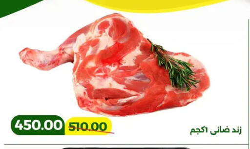 available at جرين تري هايبرماركت - سوهاج in Egypt - القاهرة