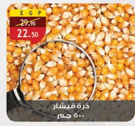 available at Al Rayah Market   in Egypt - Cairo