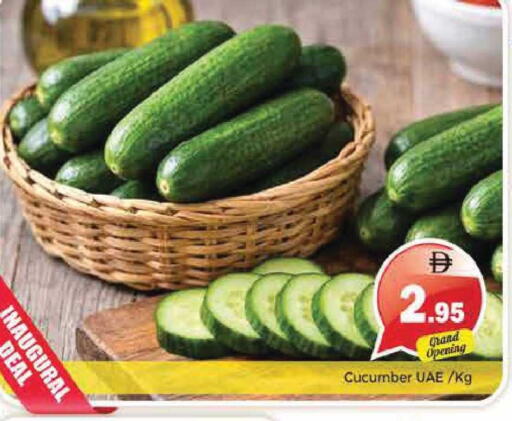 Cucumber available at Pasons Hypermarket in UAE - Sharjah / Ajman