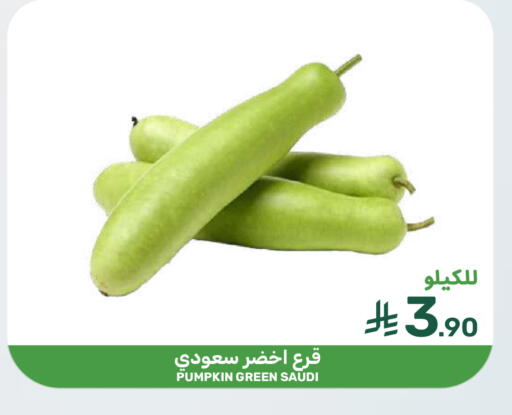 Pumpkin from Saudi Arabia available at  مـزايــا in مملكة العربية السعودية, السعودية, سعودية - سيهات