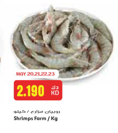 available at جراند كوستو in الكويت - مدينة الكويت