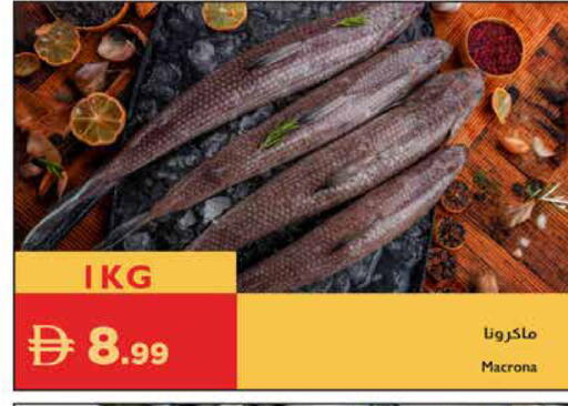 available at إسطنبول سوبرماركت in الإمارات العربية المتحدة , الامارات - رَأْس ٱلْخَيْمَة