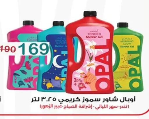 available at وكالة المنصورة - الدقهلية‎ in Egypt - القاهرة
