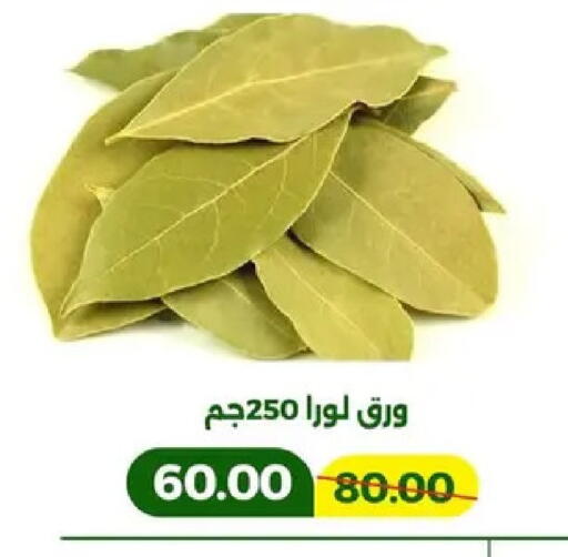 available at Green Tree Hypermarket - Sohag in Egypt - Cairo
