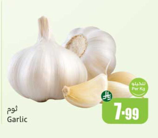 Garlic available at أسواق عبد الله العثيم in مملكة العربية السعودية, السعودية, سعودية - حفر الباطن