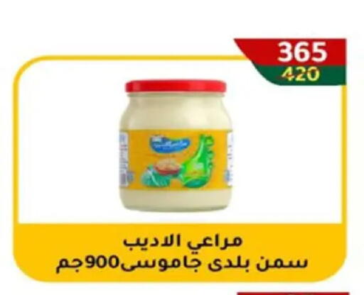 available at وكالة المنصورة - الدقهلية‎ in Egypt - القاهرة
