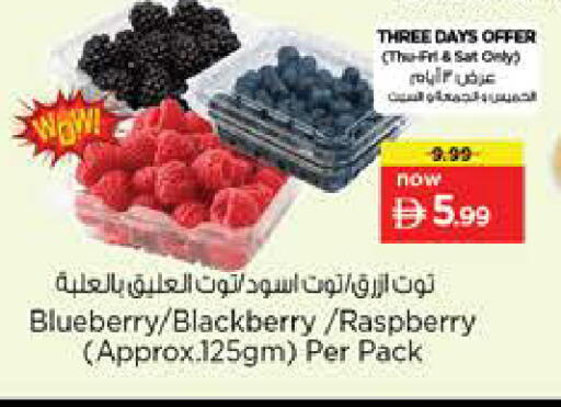 Blueberry BlueBerry Blackberry Raspberry available at نستو هايبرماركت in الإمارات العربية المتحدة , الامارات - الشارقة / عجمان