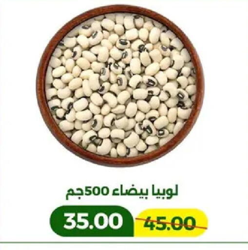 available at جرين تري هايبرماركت - سوهاج in Egypt - القاهرة