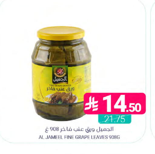available at اسواق المنتزه in مملكة العربية السعودية, السعودية, سعودية - سيهات